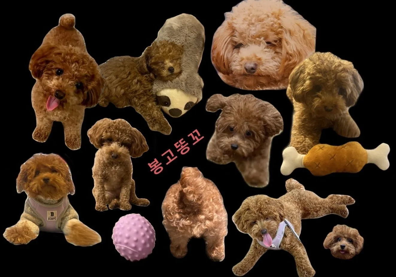 Best of Bongo