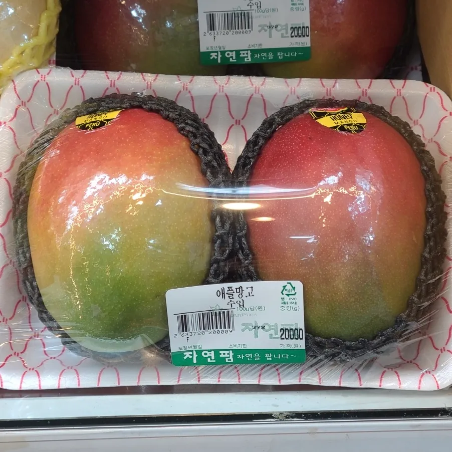 Expensive mangoes in Korea